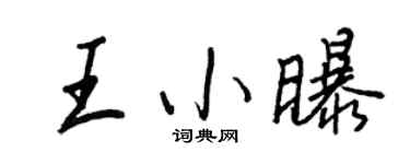 王正良王小曝行书个性签名怎么写