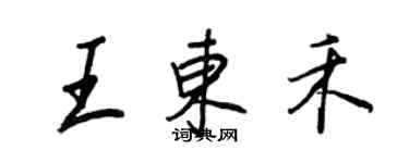 王正良王东禾行书个性签名怎么写