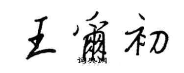 王正良王尔初行书个性签名怎么写