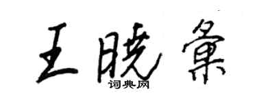 王正良王晓汇行书个性签名怎么写