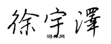 王正良徐宇泽行书个性签名怎么写