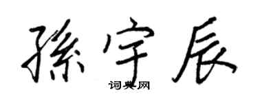 王正良孙宇辰行书个性签名怎么写