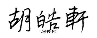 王正良胡皓轩行书个性签名怎么写