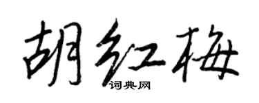 王正良胡红梅行书个性签名怎么写