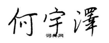 王正良何宇泽行书个性签名怎么写