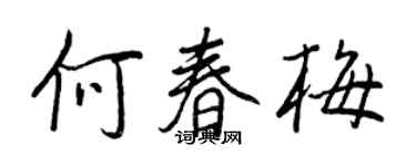 王正良何春梅行书个性签名怎么写