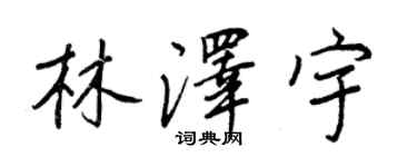 王正良林泽宇行书个性签名怎么写