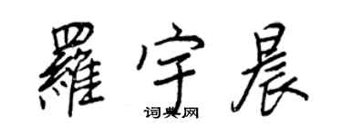 王正良罗宇晨行书个性签名怎么写