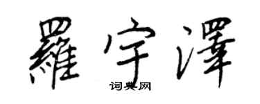 王正良罗宇泽行书个性签名怎么写