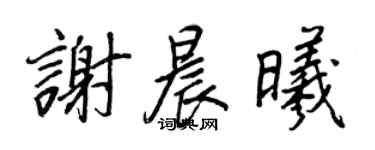 王正良谢晨曦行书个性签名怎么写