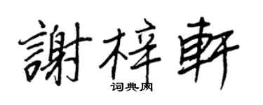 王正良谢梓轩行书个性签名怎么写