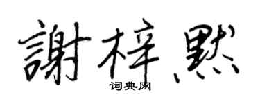 王正良谢梓默行书个性签名怎么写