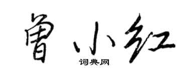 王正良曾小红行书个性签名怎么写