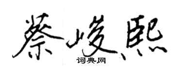 王正良蔡峻熙行书个性签名怎么写