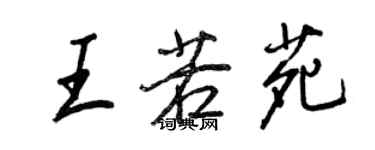王正良王若苑行书个性签名怎么写