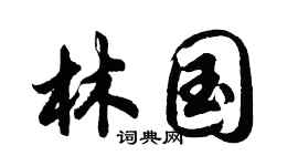 胡问遂林国行书个性签名怎么写