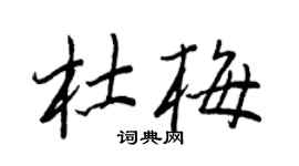 王正良杜梅行书个性签名怎么写