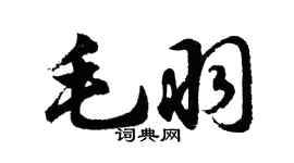 胡问遂毛羽行书个性签名怎么写