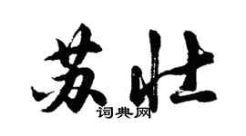胡问遂苏壮行书个性签名怎么写