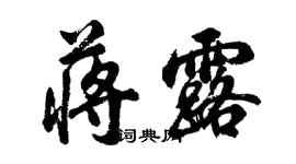 胡问遂蒋露行书个性签名怎么写