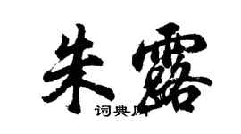 胡问遂朱露行书个性签名怎么写