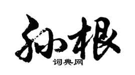 胡问遂孙根行书个性签名怎么写