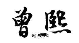 胡问遂曾熙行书个性签名怎么写