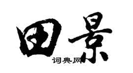 胡问遂田景行书个性签名怎么写