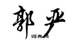 胡问遂郭严行书个性签名怎么写