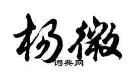 胡问遂杨微行书个性签名怎么写