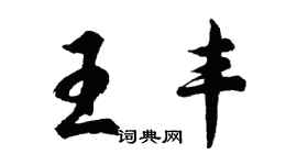 胡问遂王丰行书个性签名怎么写