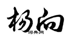 胡问遂杨向行书个性签名怎么写