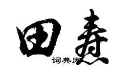胡问遂田焘行书个性签名怎么写