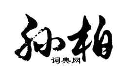 胡问遂孙柏行书个性签名怎么写