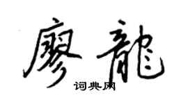 王正良廖龙行书个性签名怎么写