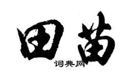 胡问遂田苗行书个性签名怎么写