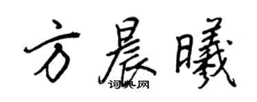 王正良方晨曦行书个性签名怎么写