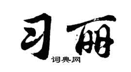 胡问遂习丽行书个性签名怎么写