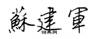 王正良苏建军行书个性签名怎么写