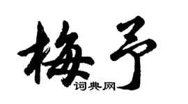 胡问遂梅予行书个性签名怎么写