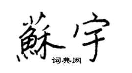 王正良苏宇行书个性签名怎么写