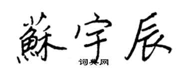 王正良苏宇辰行书个性签名怎么写