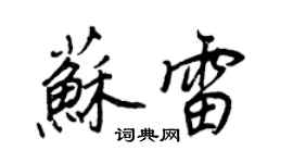 王正良苏雷行书个性签名怎么写