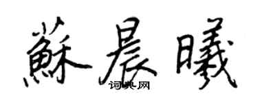王正良苏晨曦行书个性签名怎么写