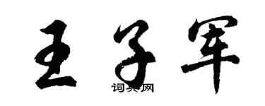 胡问遂王子军行书个性签名怎么写