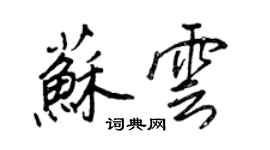 王正良苏云行书个性签名怎么写