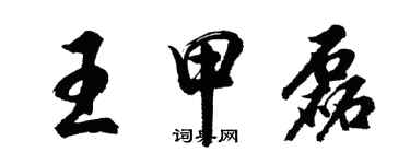 胡问遂王甲磊行书个性签名怎么写