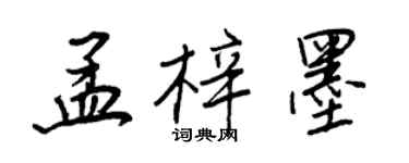 王正良孟梓墨行书个性签名怎么写
