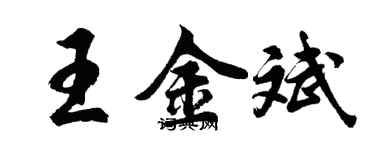 胡问遂王金斌行书个性签名怎么写