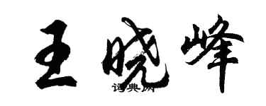 胡问遂王晓峰行书个性签名怎么写